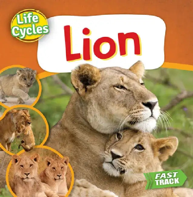 Lion by Nancy Dickmann