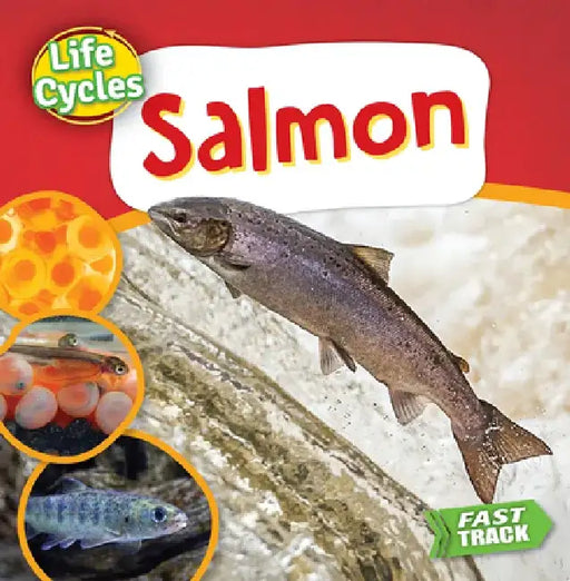 Salmon by Nancy Dickmann