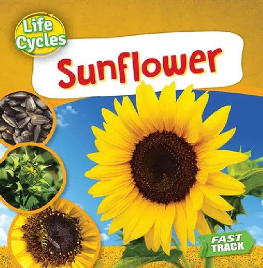Sunflower by Nancy Dickmann