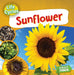 Sunflower by Nancy Dickmann