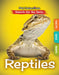 Reptiles by Lindsey Lowe