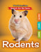 Rodents by Lindsey Lowe