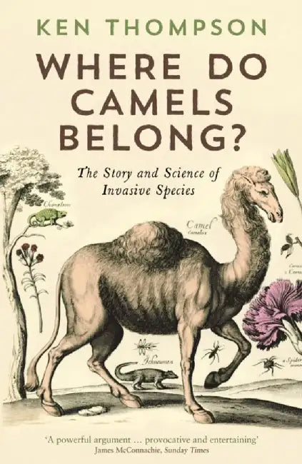 Where Do Camels Belong? by Ken Thompson