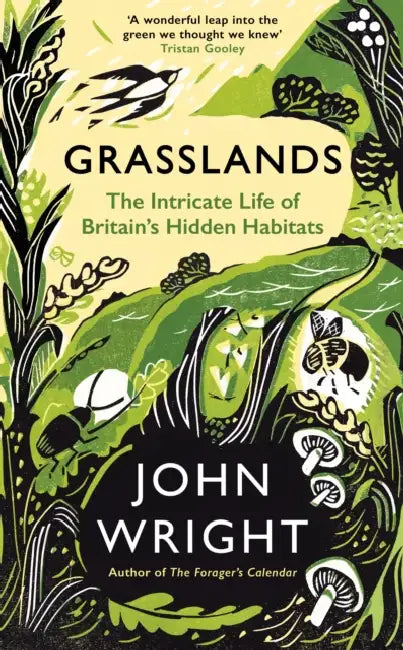 Grasslands: The Intricate Life of Britain's Hidden Habitats by John Wright
