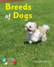 Breeds of Dogs by Rickard Stephen