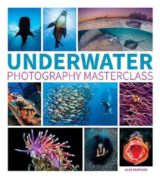 Underwater Photography Masterclass by Alex Mustard