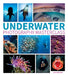 Underwater Photography Masterclass by Alex Mustard