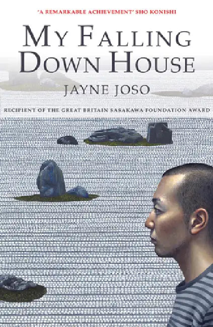 My Falling Down House by Jayne Joso