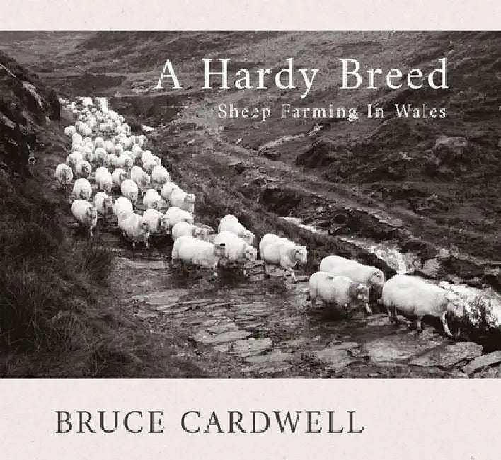 A Hardy Breed: Sheep Farming in Wales by Bruce Cardwell