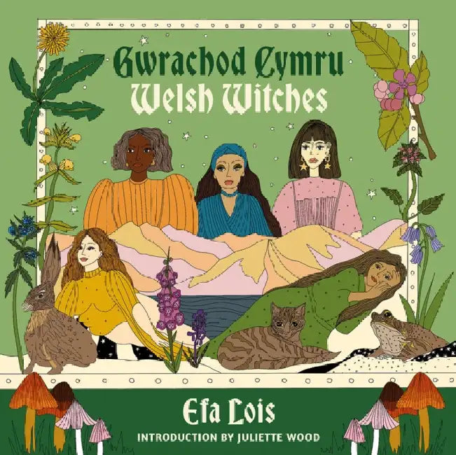 Gwrachod Cymru | Welsh Witches by Efa Lois