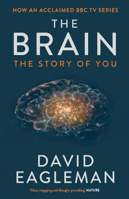 The Brain by David Eagleman