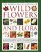 The World Encyclopedia of Wild Flowers & Flora: An Expert Reference and Identification Guide to Over 1730 Wild Flowers and Plants from Every Continent by Michael Lavelle