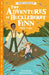 Mark Twain: The Adventures of Huckleberry Finn by Gemma Barder