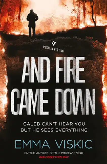 And Fire Came Down by Emma Viskic