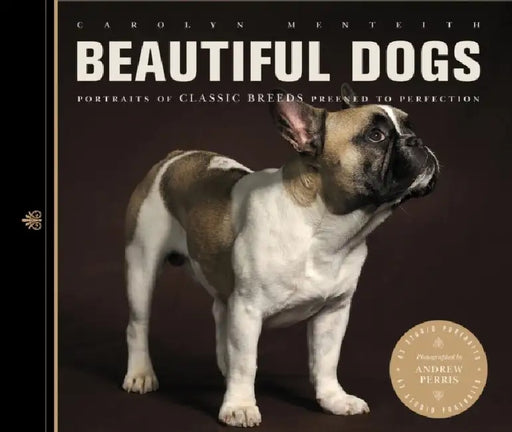 Beautiful Dogs: Portraits of Classic Breeds by Carolyn