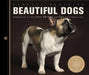 Beautiful Dogs: Portraits of Classic Breeds by Carolyn