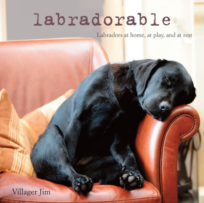 Labradorable by Jim, Villager