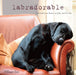 Labradorable by Jim, Villager