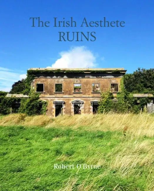 Romantic Irish Ruins by Robert O'Byrne