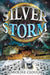 Silver Storm by Caroline Clough