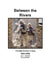 Between the Rivers: Combat Action in Iraq 2003-2005 by John J. McGrath, Roderick M. Cox, Combat Studies Institute Press