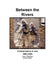 Between the Rivers: Combat Action in Iraq 2003-2005 by John J. McGrath, Roderick M. Cox, Combat Studies Institute Press