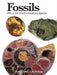 Fossils