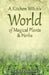 A Kitchen Witch's World of Magical Herbs & Plants by Rachel Patterson