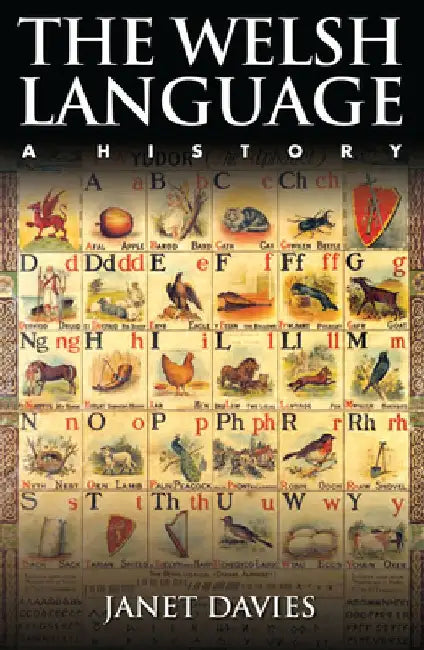 The Welsh Language: A History by Janet Davies