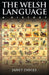 The Welsh Language: A History by Janet Davies