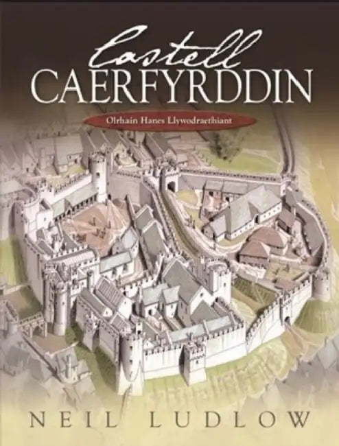 Castell Caerfyrddin: Olrhain Hanes Llywodraethiant by Neil Ludlow