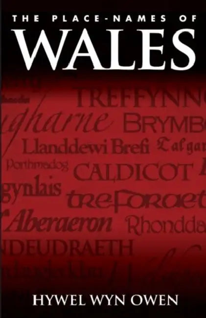 The Place-Names of Wales by Hywel Wyn Owen