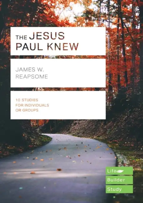 The Jesus Paul Knew (Lifebuilder Study Guides) by Dennis Schulting