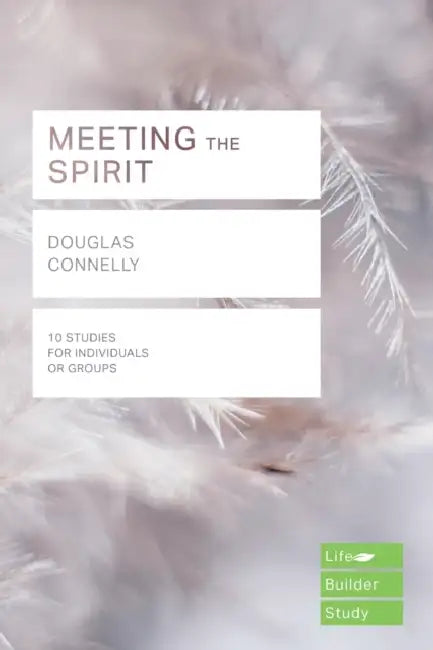 Meeting the Spirit (Lifebuilder Study Guides) by Maximilian Kasy