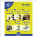 Phonic Books Dandelion Readers Vowel Spellings Level 1 by Phonic Books
