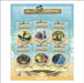 Island Adventure Series (UK Edition) by Clair Baker