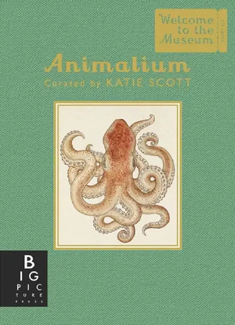 Animalium (Mini Gift Edition) by Jenny Broom
