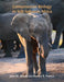 Conservation Biology in Sub-Saharan Africa by John W. Wilson, Richard B. Primack
