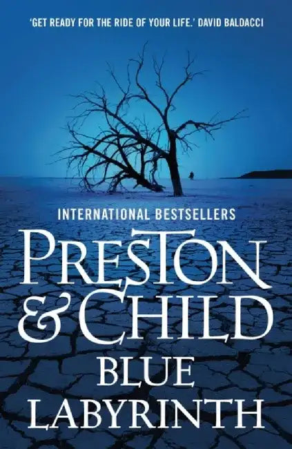 Blue Labyrinth by Douglas Preston