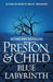 Blue Labyrinth by Douglas Preston