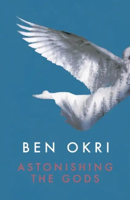 Astonishing the Gods by Ben Okri