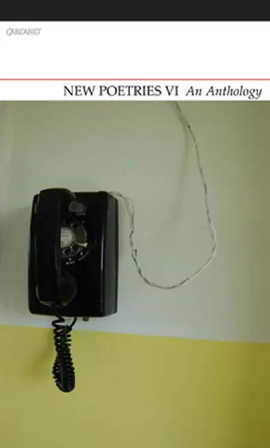 New Poetries VI: An Anthology by Michael Schmidt