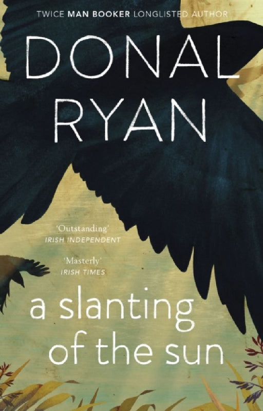 A Slanting of the Sun: Stories by Donal Ryan