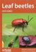 Leaf Beetles by Dave Hubble