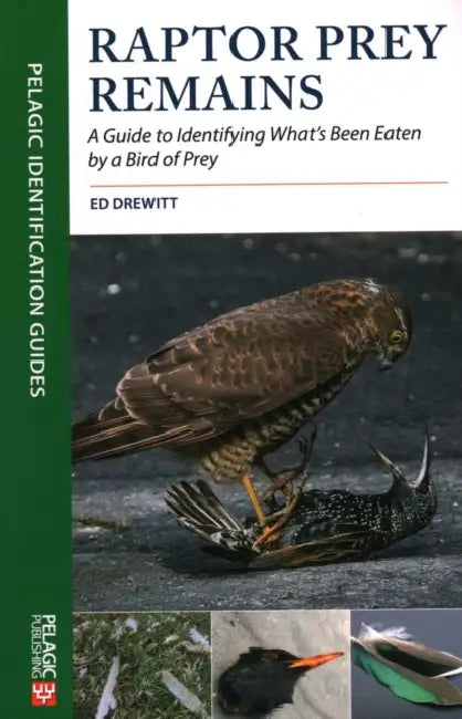 Raptor Prey Remains: A Guide to Identifying What's Been Eaten by a Bird of Prey by Ed Drewitt
