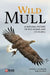 Wild Mull by Stephen Littlewood