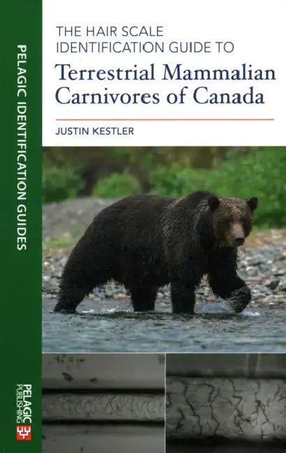 Hair Scale Identification Guide to Terrestrial Mammalian Carnivores of Canada by Justin Kestler