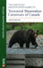 Hair Scale Identification Guide to Terrestrial Mammalian Carnivores of Canada by Justin Kestler