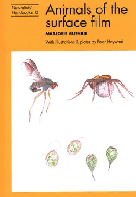 Animals of the Surface Film by Marjorie Guthrie