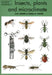 Insects, Plants and Microclimate by M. Unwin D.